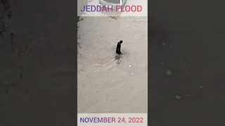 Its raining & flooding in Jeddah early Thursday morning November 24, 2022. Keep up safe everyone.