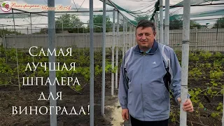 Самая лучшая шпалера для винограда!!!