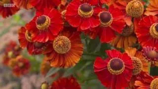 Gardeners World Season 48 Episode 23/31 (August 28, 2015)