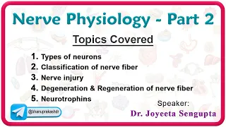 Nerve Physiology - Part 2