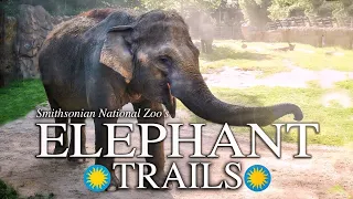 Zoo Tours: The Elephant Trails | Smithsonian's National Zoo (2010)