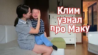 VLOG: Умерла собака, первый друг / Жизнь продолжается...