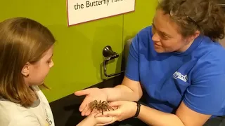 Holding Rosie at the Butterfly Pavilion in Denver, Colorado