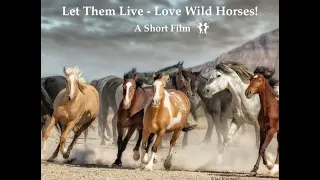 2021 EQUUS Film & Arts Fest - Let Them Live Love Wild Horses - Trailer