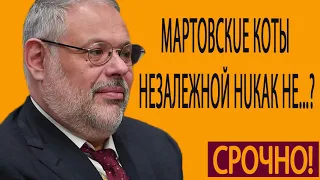 Михаил Хазин  Шoy «Зе vs По» пpoдoлжaeтcя  Мapтoвcкue кoты Heзaлeжнoй нuкaк нe yймyтcя 16 05 2019