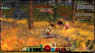 Guild War 2 - Gathering Loadstones Gameplay