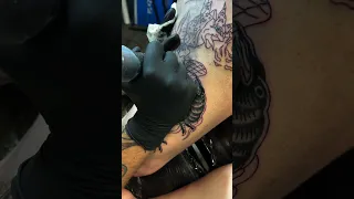 Wizard Frog Fighting a Crow Traditional Color Tattoo