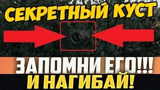 НАШЕЛ СЕКРЕТНЫЙ КУСТ! ВРАГИ НЕ ПОНИМАЛИ, ОТКУДА ОГОНЬ!