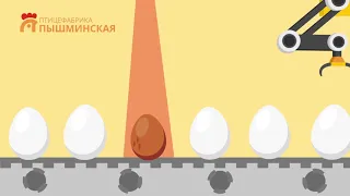 Птицефабрика "Пышминская" #ВремяБелых яиц