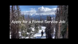 How to apply for a Forest Service Job and navigating USAjobs