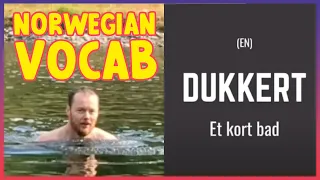 💦 Norwegian VOCAB: (en) DUKKERT! A dip in the water! 💦