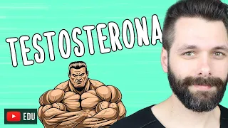 TESTOSTERONA | Biologia com Samuel Cunha