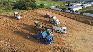 The Best Construction Equipment Bulldozer Using Power Pushing Dirt Dump Truck Unloading Extreme