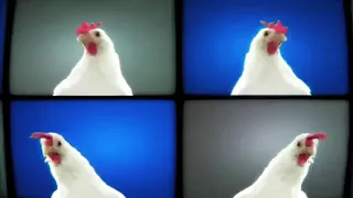 J.Geco - Chicken Song [1 Hour]