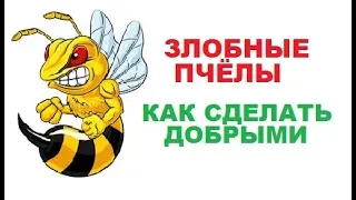 Почему пчёлы становятся злыми. Причины и способы устранения проблемы.