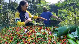 Naga girls making traditional food, harvesting organic vegetables, Hibiscus, Naga village life