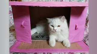 Amazing Pet House from Cardboard Box | Transform a Simple Box into a Cat house | DIY House Craft.