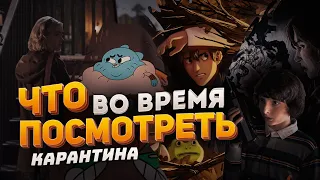 Лучшие сериалы / Это стоит посмотреть на карантине / Топ 5