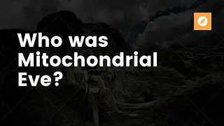 Who is Mitochondrial Eve?