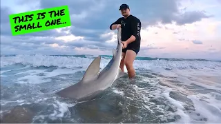 Two PB's!!! | Shark Fishing From The Beach (LBSF)