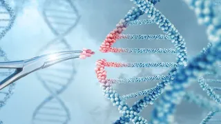 arte | Wie funktioniert die Genschere CRISPR? | 2020