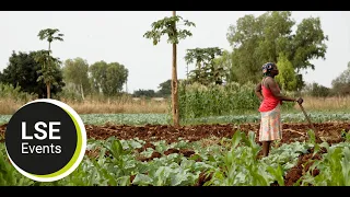 The elusive plantation: imagining development in Mozambique | LSE Event