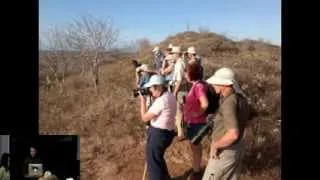 Cornell Lab Monday Night Seminar: Birds, Butterflies & More