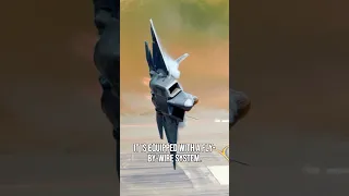 The Insane Reason Why the F-22 Raptor Can't Fly Straight?