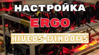 Настройка Mining ERGO на HiveOS и Windows