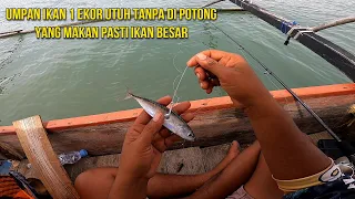Mancing Dasaran Pakai Umpan Ikan 1 Ekor Tanpa Di Potong
