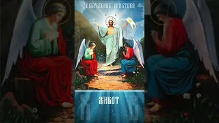 С Воскресением Христовым (кратко) Christ Resurrection