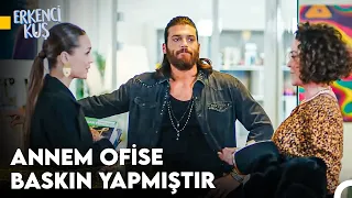 Sanem'in Aşkı Bulma Yolculuğu #109 - Erkenci Kuş