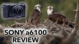 Does this Mini Mighty Mirrorless Camera Excite You? Sony a6100 Review