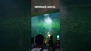 HANEEN LIAT MERMAID ANCOL #mermaid #mermaidancol #ancol #putriduyung #putriduyungancol