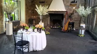 Italian wedding harpist Florence Tuscany Italy