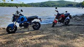 honda grom ride and thoughts on it after 5000 miles