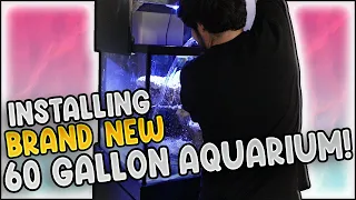 Setting Up My New 60 Gallon Reef Aquarium (Day 1-45) | MY OLD TANK LEAKED