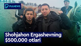 Shohjahon Ergashovni $500.000 lik otlari (exclusive)