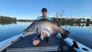 Lake Monduran Barramundi (120cm+ Barra)