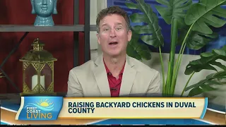 Raising Backyard Chickens in Duval