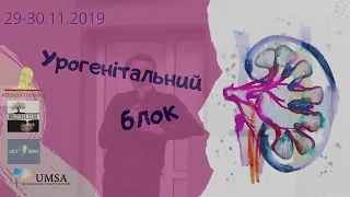 Великі ниркові синдроми  Гостра та  хронічна ниркова недостатність  Нефротичний синдром