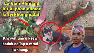 Pynïap u ksew ïa u Mrad iwkhong katba nga dang synreit Khñiang ïa ki Phan ha kper | Khasi video