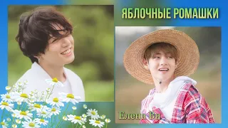 Озвучка фанфика "Яблочные ромашки" (вигуки)│BTS│Елена Ви│