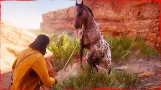 Red Dead Redemption 2 Free Roam Capturing Wild HORSES with John Marston #1