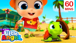 Save the Turtles! | 1 HOUR of Little Angel Fun Songs | Moonbug Kids - Fun Stories and Colors