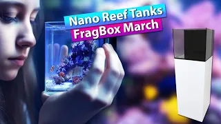 Nano Aquariums - Saltwater Reef Tanks w/ March form FragBox