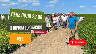 #53 День Поля 🔥з Юрієм Дробязко. 22.08.23 Крижопіль🚜Соняшник🌻та Соя🌱