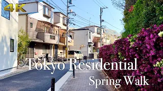 [4K] Tokyo Residential, Spring Walk. Peaceful & Quiet ☀️🌸🇯🇵 #asmr