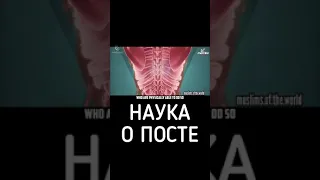 Наука о посте