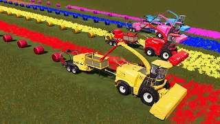 KING OF COLORS! MULTIVITAMIN HAY BALE FROM COLORFUL GRASS! MULTI BALERS FOR FORAGE HARVESTERS! FS19